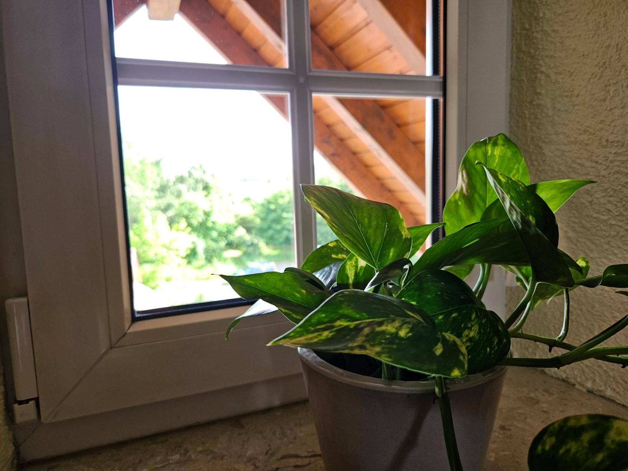 Service Appartement Weigl Nittenau Екстер'єр фото